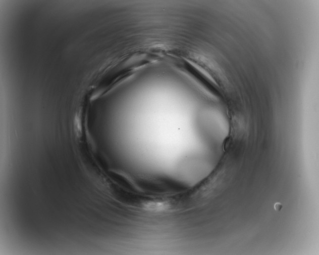 X0000089740358200707051801