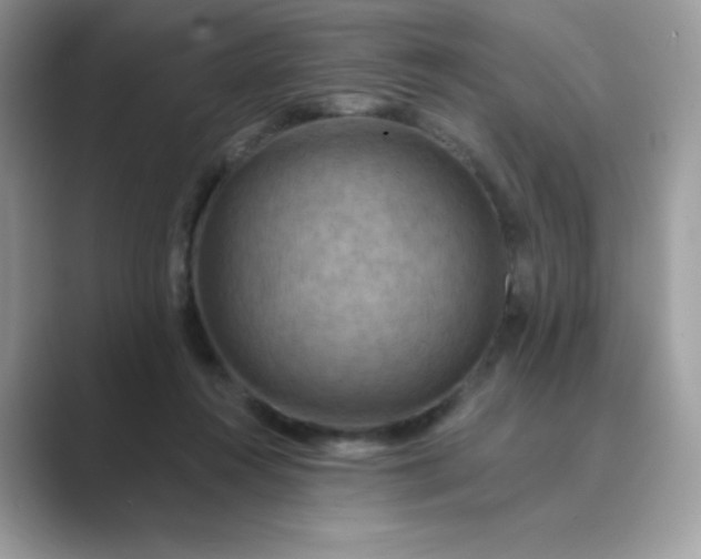 X0000089740360200707051801