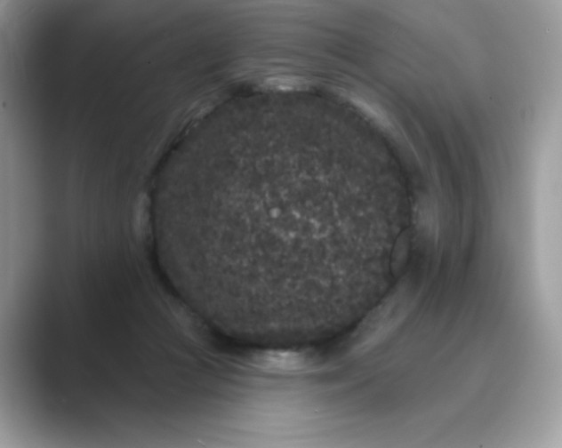 X0000089740361200707051801