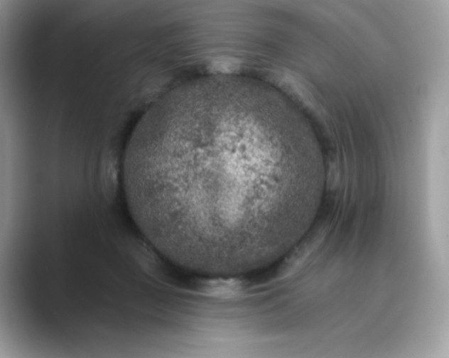 X0000089740363200707051801