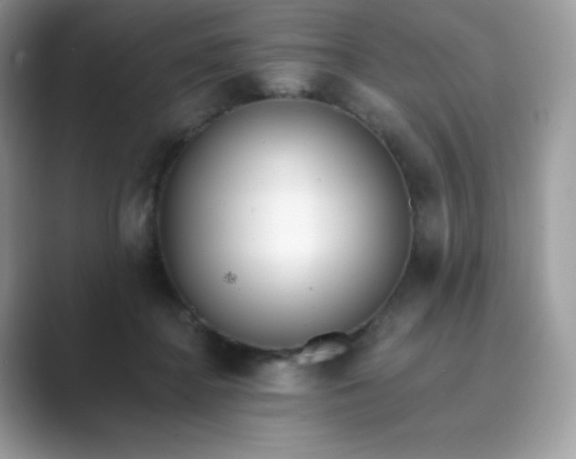 X0000089740364200707051801