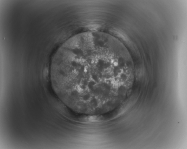 X0000089740365200707051801