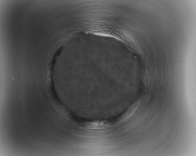 X0000089740366200707051801