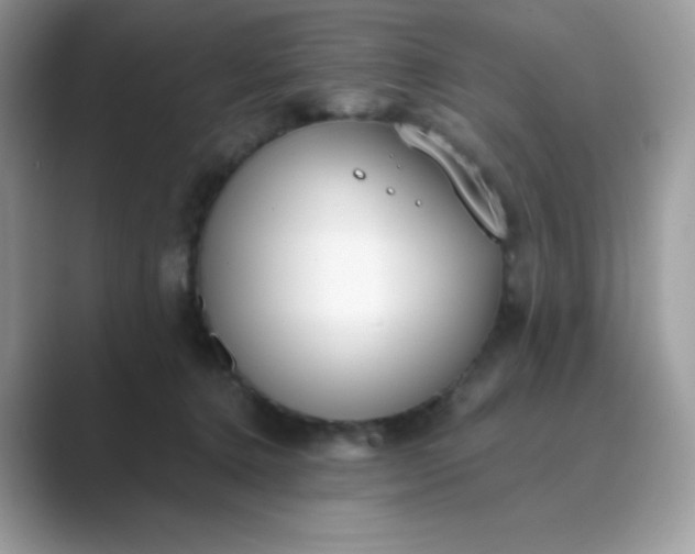 X0000089740368200707051801