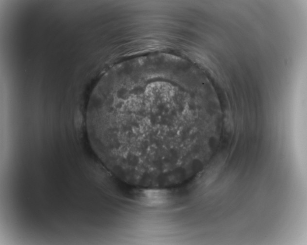 X0000089740371200707051801