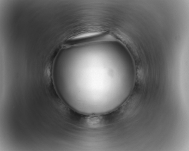 X0000089740373200707051801