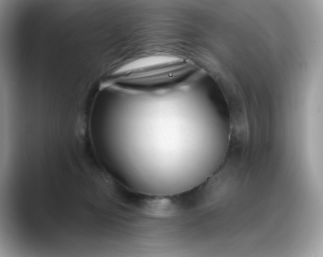 X0000089740374200707051801