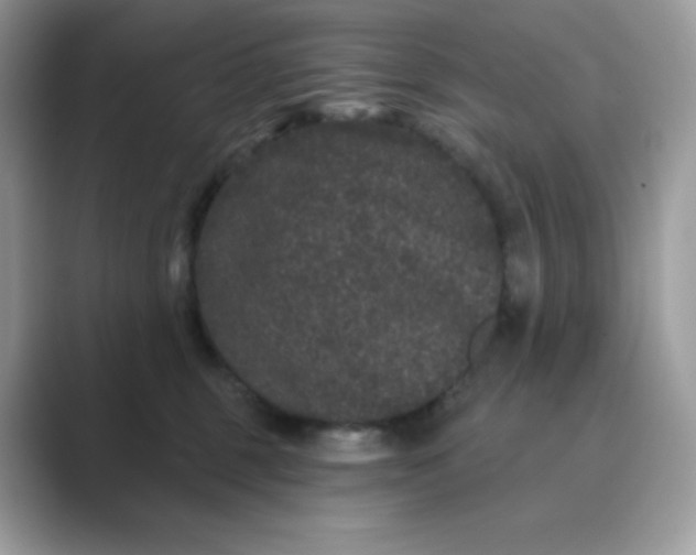 X0000089740375200707051801