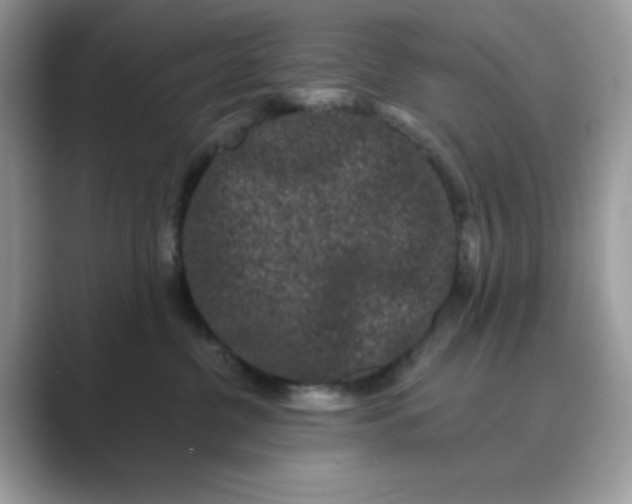 X0000089740380200707051801