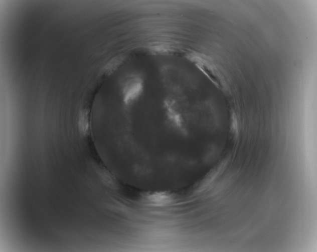 X0000089740383200707051801