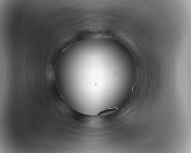 X0000089740384200707051801