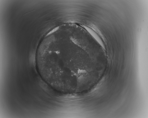 X0000089740386200707051801