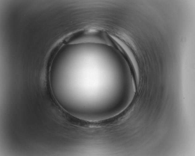 X0000089740388200707051801