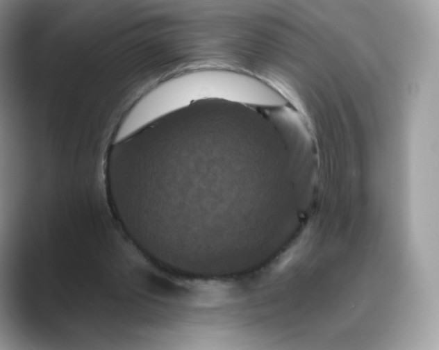 X0000089740389200707051801