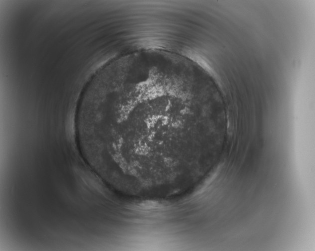 X0000089740390200707051801