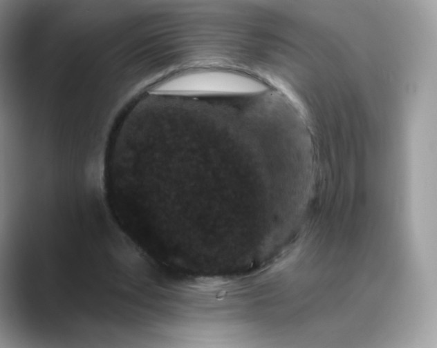 X0000089740391200707051801