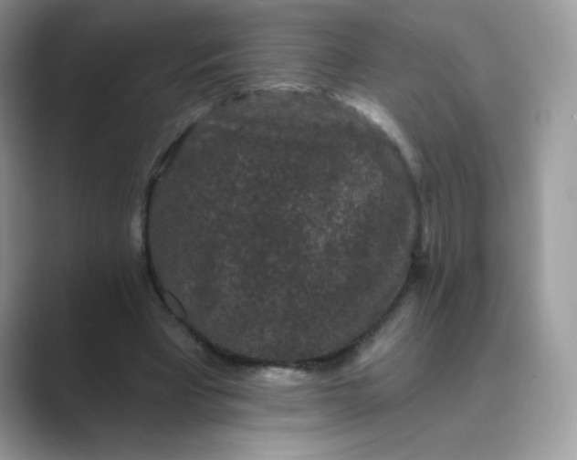 X0000089740393200707051800