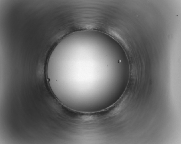 X0000089740394200707051800