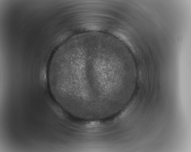 X0000089740398200707051800