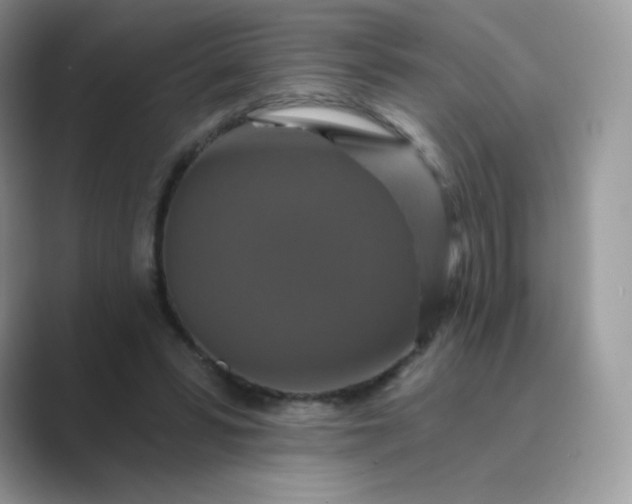 X0000089740399200707051800