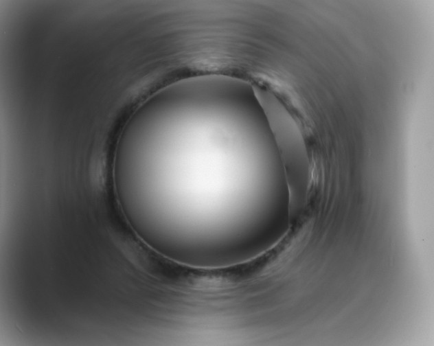 X0000089740400200707051800