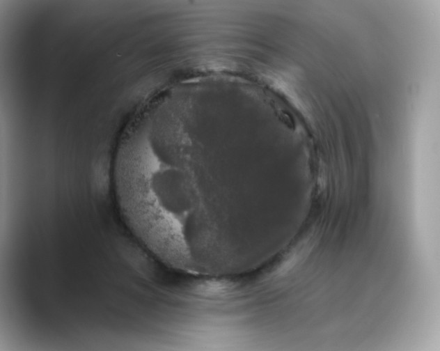 X0000089740402200707051800