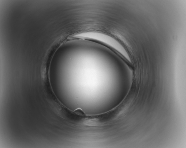 X0000089740403200707051800