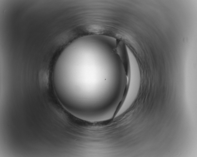 X0000089740404200707051800