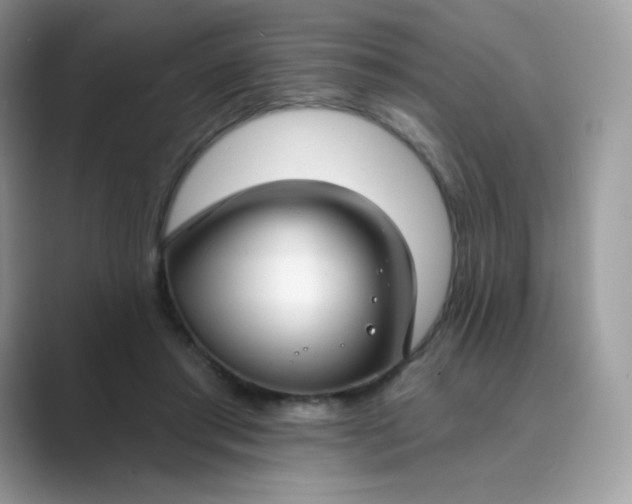 X0000089740405200707051800