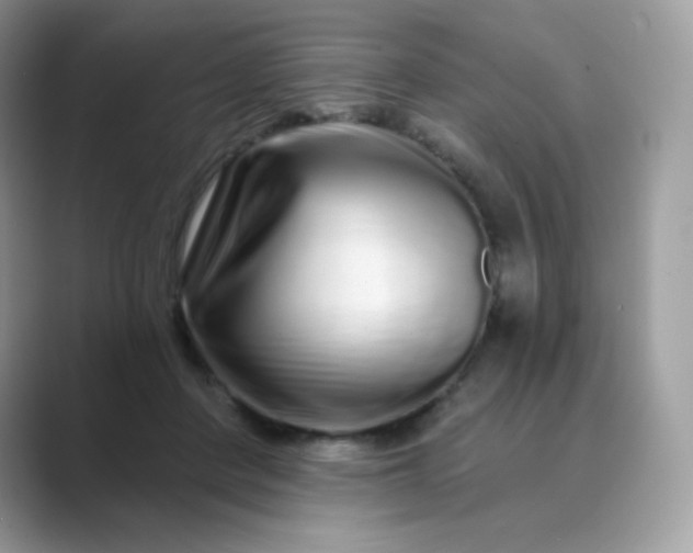 X0000089740408200707051800