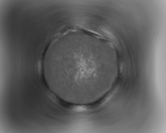 X0000089740409200707051800