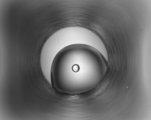 X0000089740411200707051800