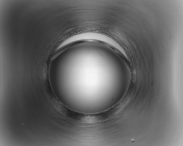 X0000089740413200707051800