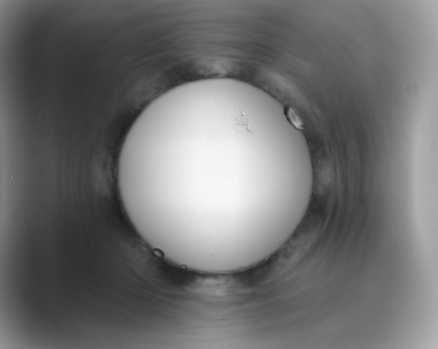 X0000089740414200707051800