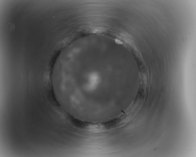 X0000089740415200707051800