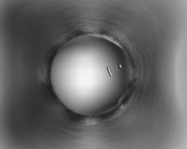 X0000089740416200707051800