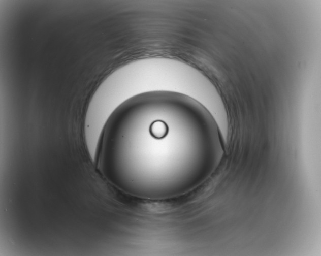 X0000089740417200707051800