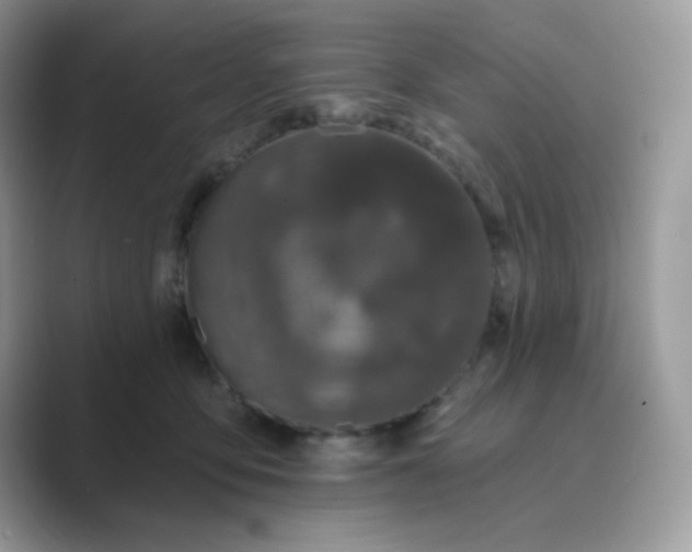 X0000089740419200707051800