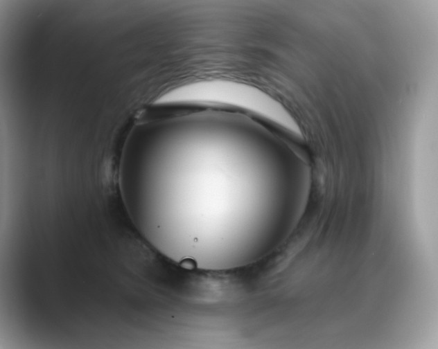 X0000089740420200707051800