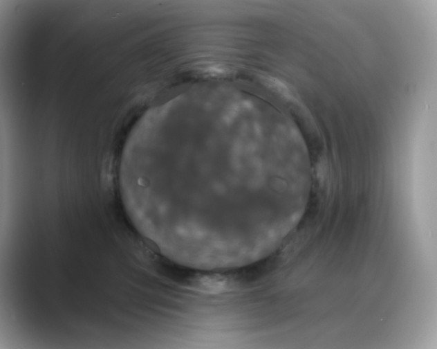 X0000089740423200707051800