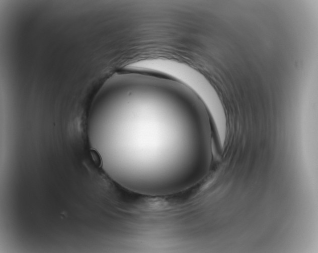 X0000089740424200707051800