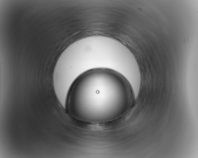 X0000089740425200707051800