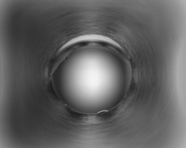 X0000089740428200707051800