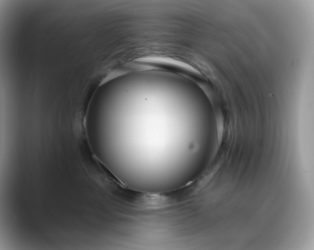 X0000089740429200707051800