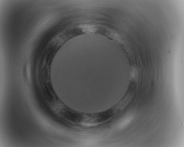 X0000089740431200707051800