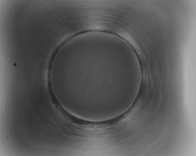 X0000089740434200707051759