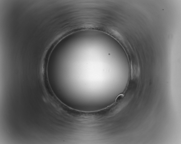 X0000089740435200707051800