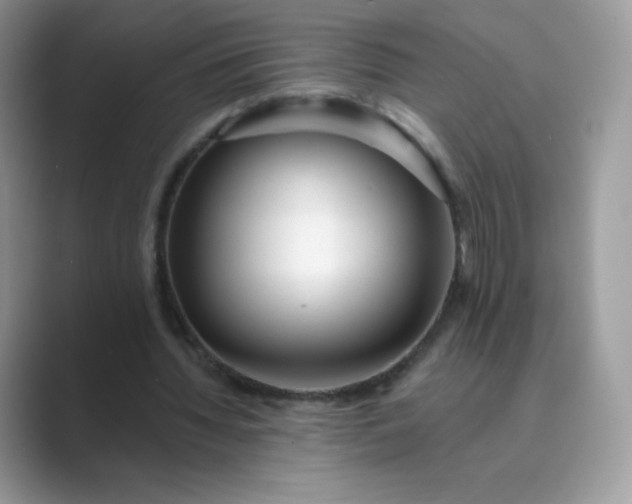 X0000089740436200707051800