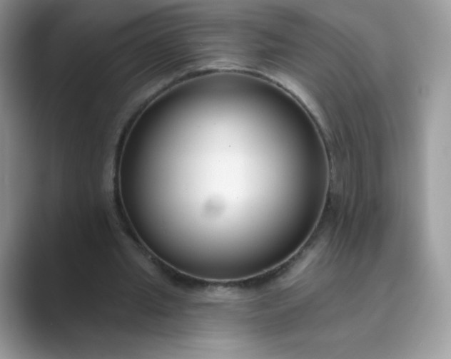 X0000089740437200707051800