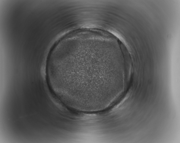 X0000089740438200707051800